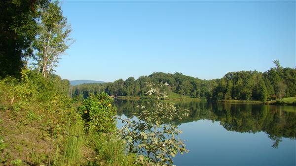 LAKE LACEOLA