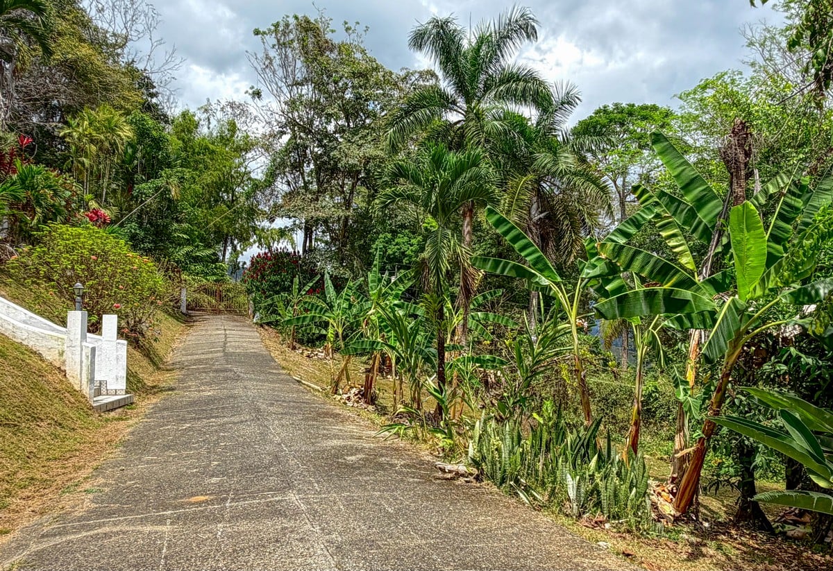 3.64 ACRES – 3 Bedroom Home With Expansive Ocean Views, Multiple Areas to Build, Public Road With Commercial Potential, 10min to the Beach!!