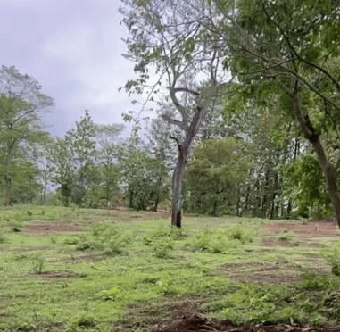 Chocolate Rain Lots | Prime 1.89-Acre Development Opportunity Near Lola’s & Aviana’s Beach