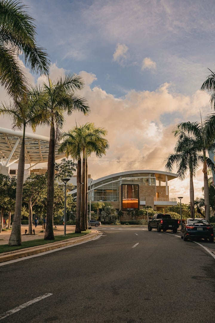 Casa Terra Porto #5 • Ground Floor • Walk to Beach - Airbnb