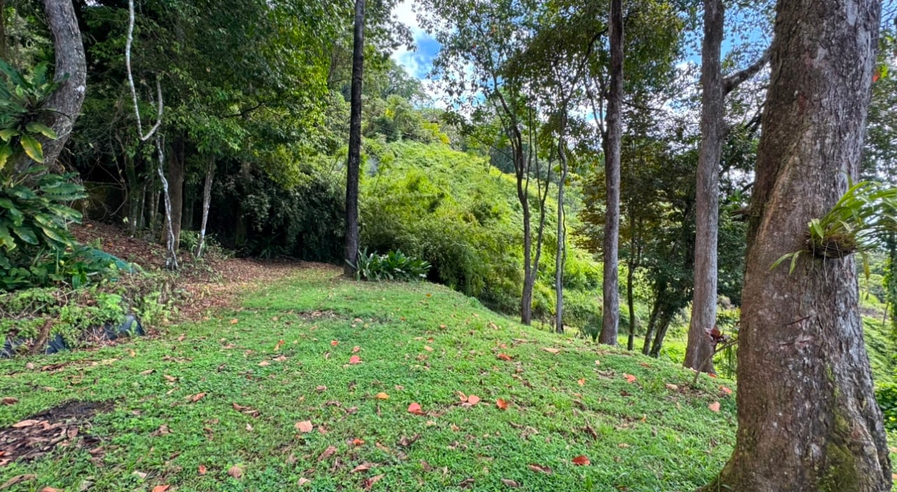 The Last Gem of Achiote,  with Panoramic Views 