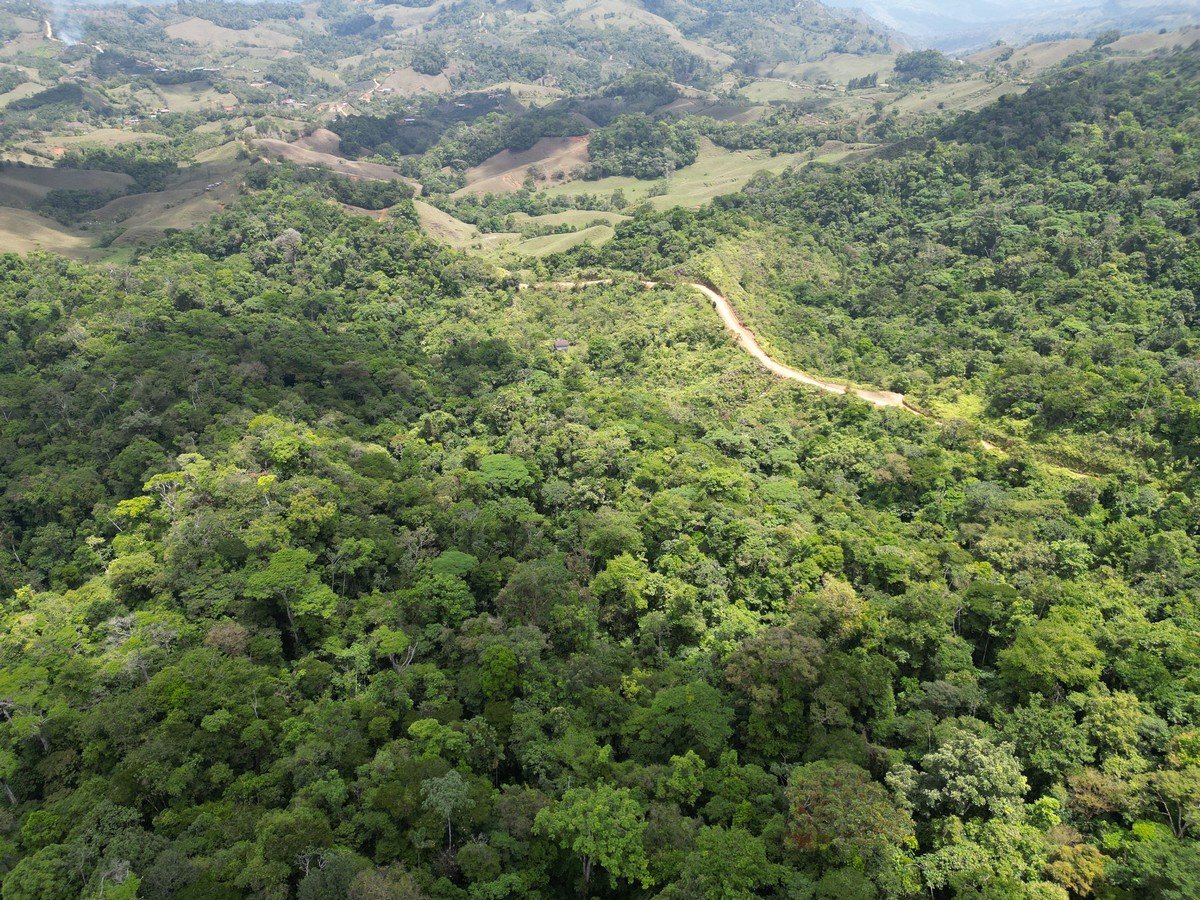 32 ACRES – Mountain Land With Spring, Jungle & Usable Space!!!!