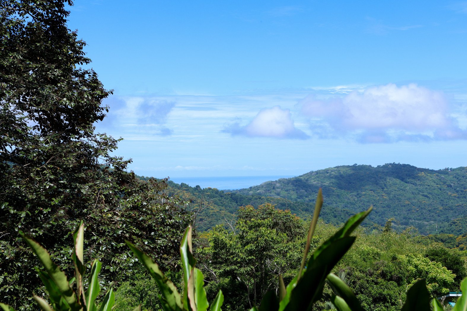 TROPICAL RETREAT IN PLATANILLO – OCEAN VIEW HOME PLUS APARTMENT IN ESTABLISHED COMMUNITY – 0.88 ACRES