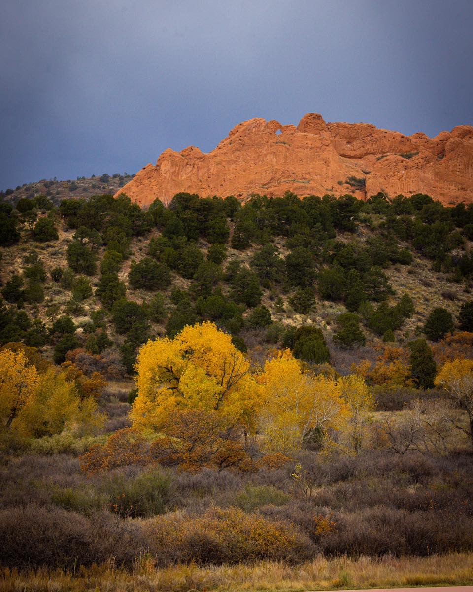Garden of the Gods: Where Colorado Springs Comes Alive