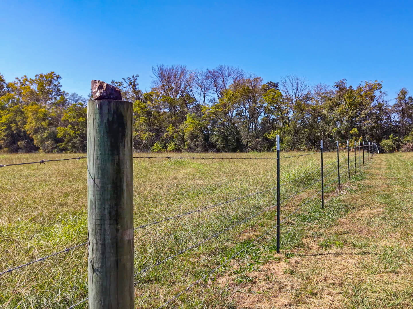 185 Acre Horse and Cattle Ranch