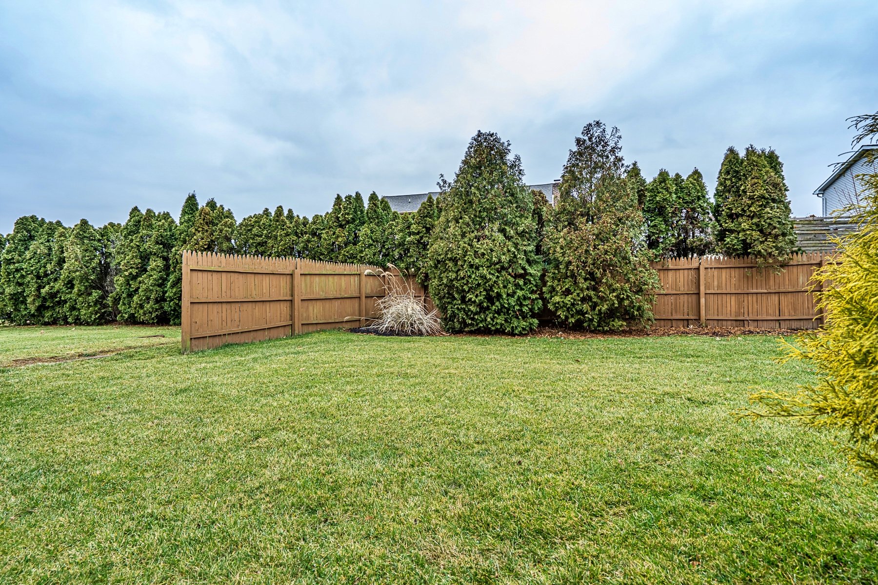 3538 Skyline Drive
