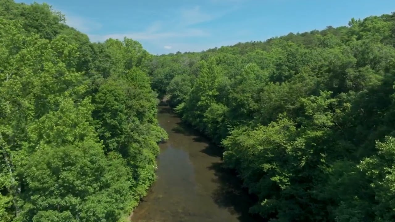 Aerial view of a river winding through densely wooded acreage.