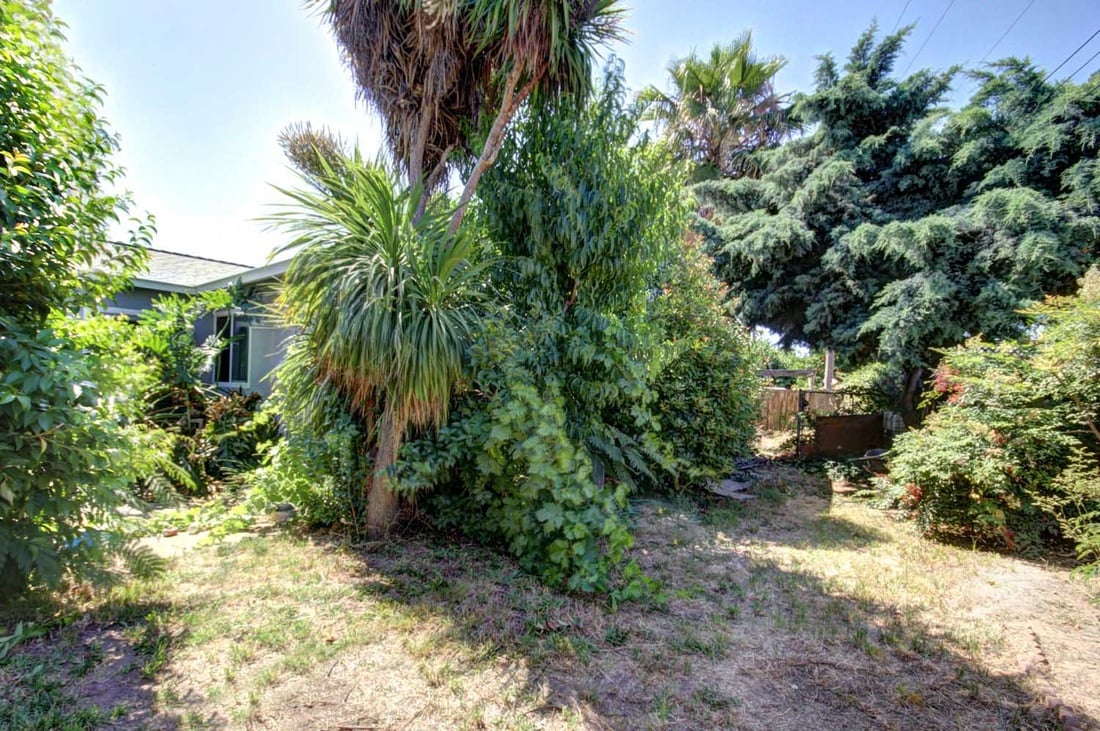 Just Listed! Fixer with The Biggest Lot in College Greens/glenbrook!