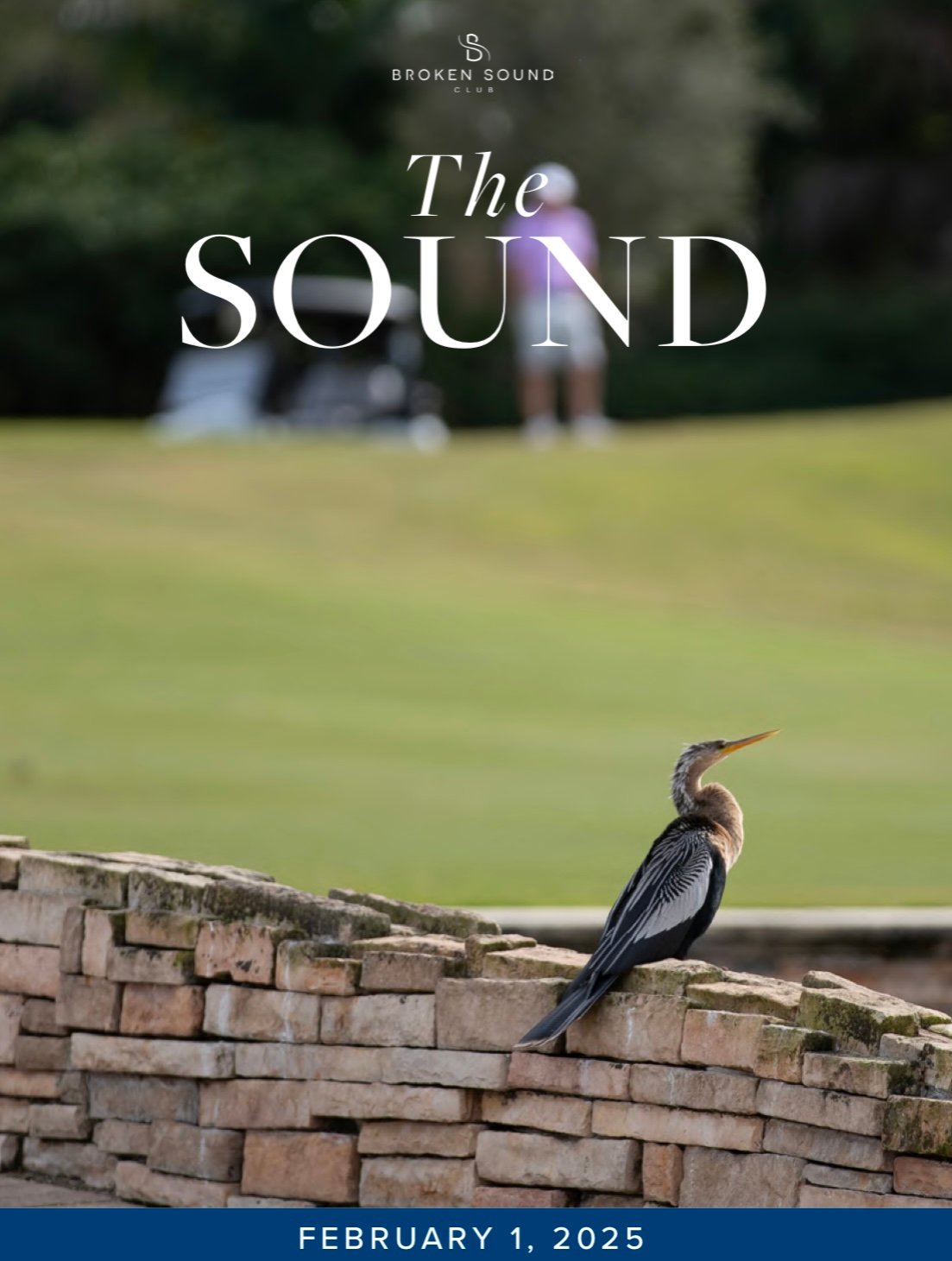 The Sound - February 1, 2025