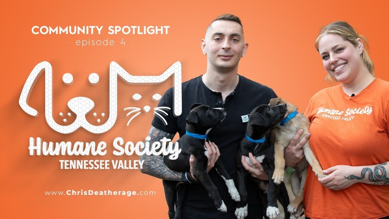 Helping Animals at the "Humane Society of the Tennessee Valley" | Community Spotlight: Episode 4