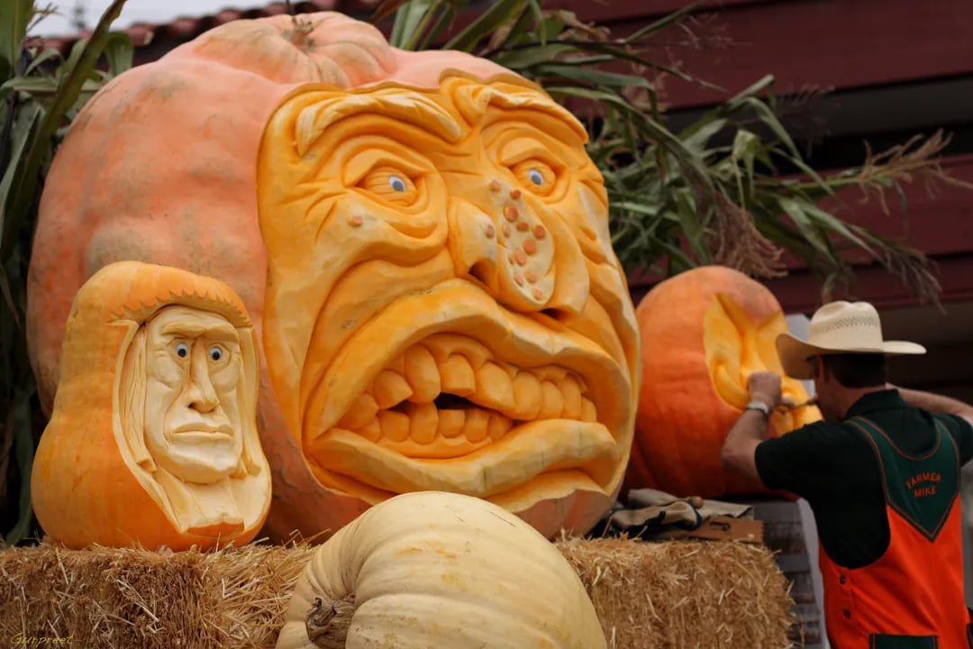 Intricately carved giant pumpkin with detailed grimacing face showing teeth, smaller carved pumpkin beside it, artist in cowboy hat working on another pumpkin in background