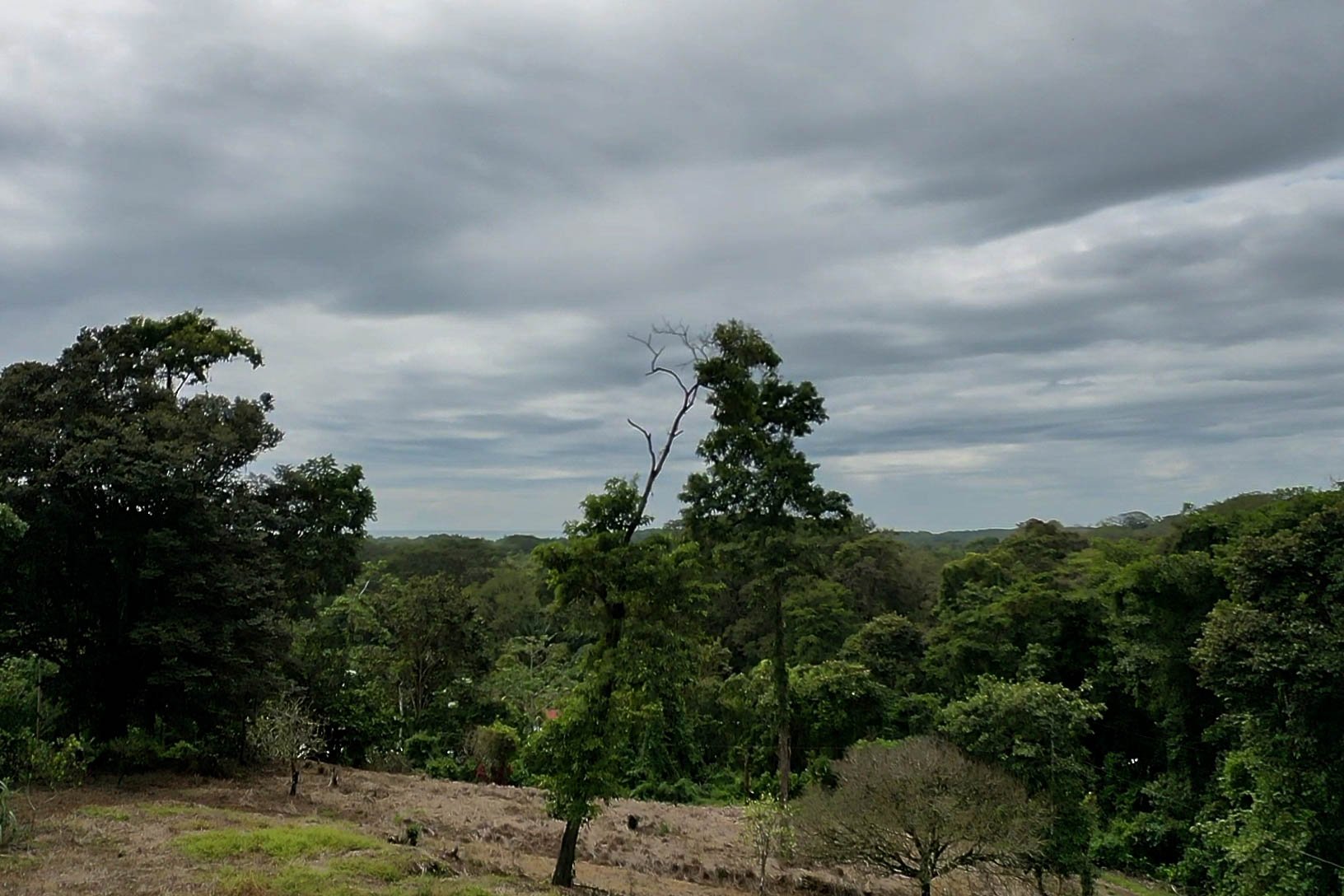 Spectacular and Affordable Property close to Dominical