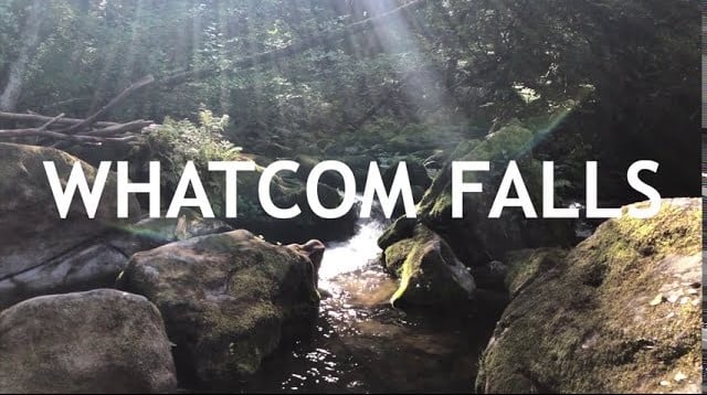 Whatcom Falls 