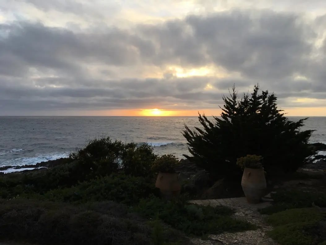 Sea Breeze