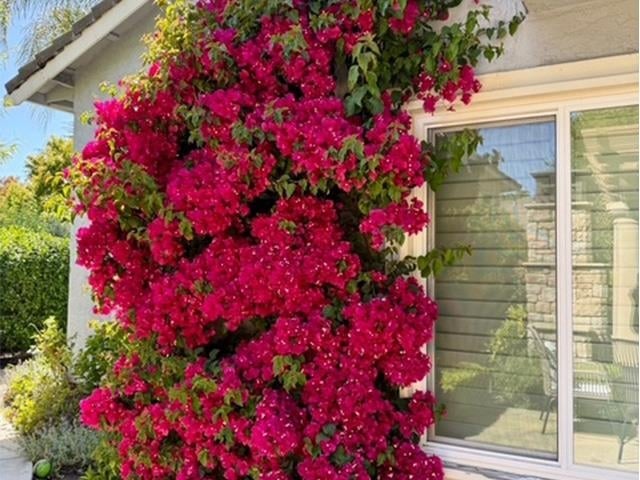 3421 Blackhawk Meadow