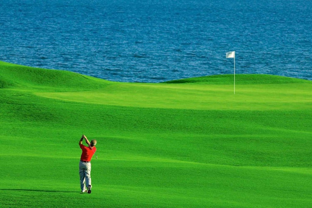 Fundadores | A Hidden Gem in Puerto Los Cabos