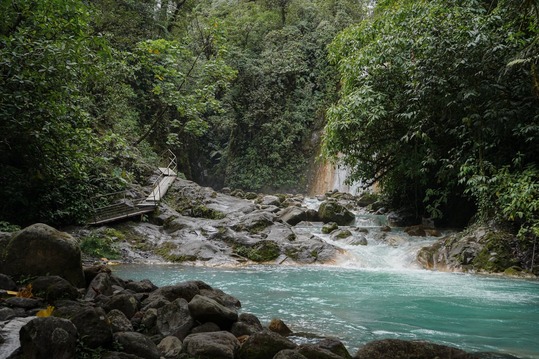 La Monarca