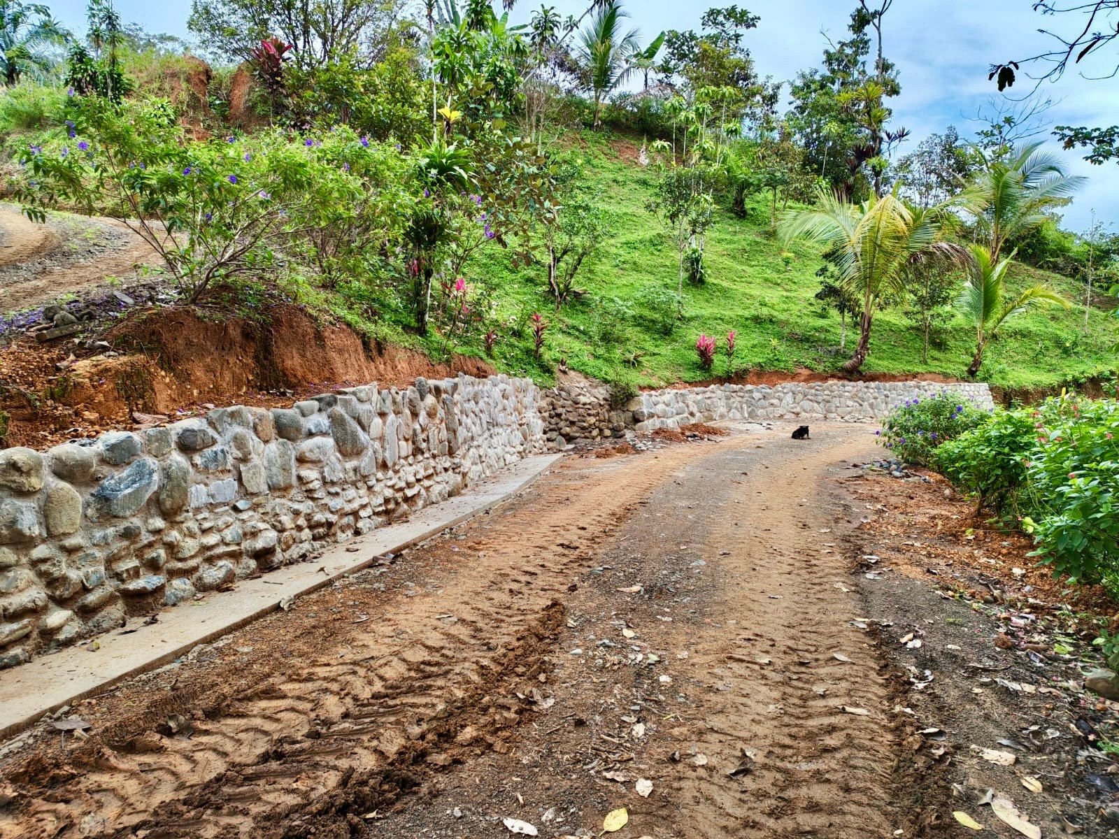 24.7-Acre Ocean View Eco Estate in San Cristóbal de Aguirre | 5 Building Sites