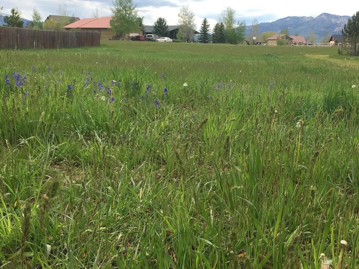 Lot 52 Snake River Dr