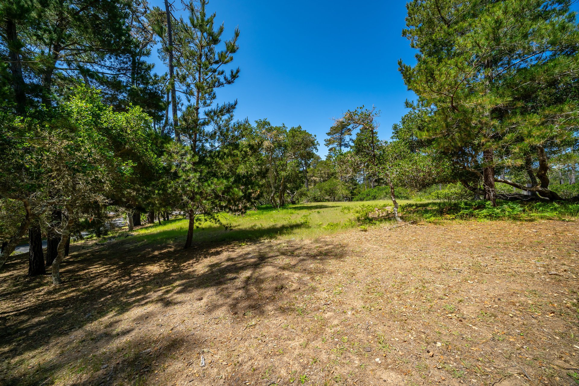 Serene Cambria Lot