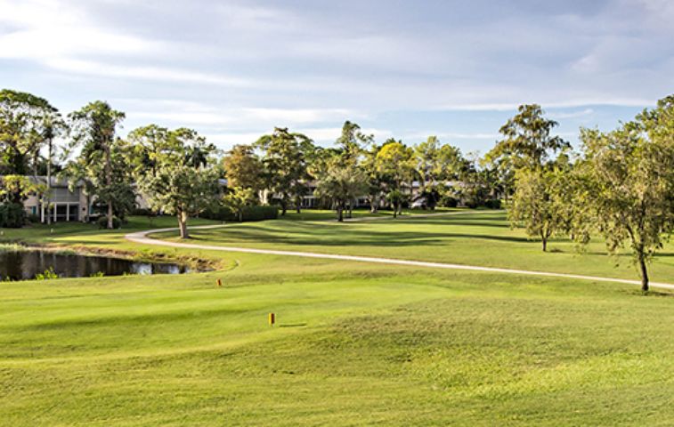 Glades