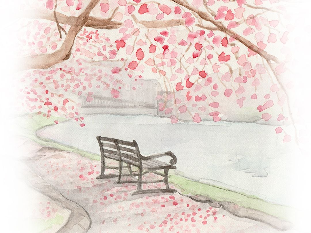 March Newsletter