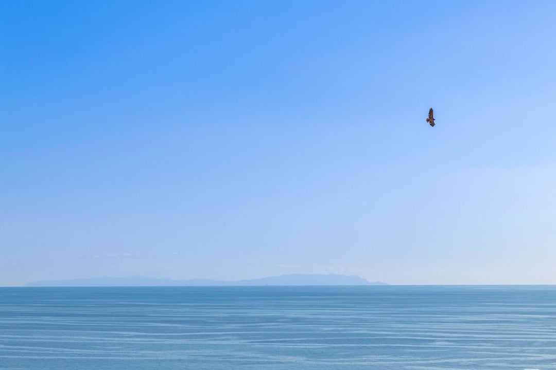 Aurex Estate, Blue Dane Ln, 90265