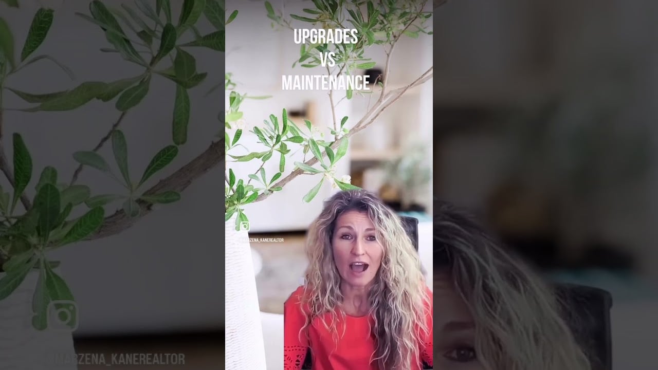 Upgrades VS Maintenance