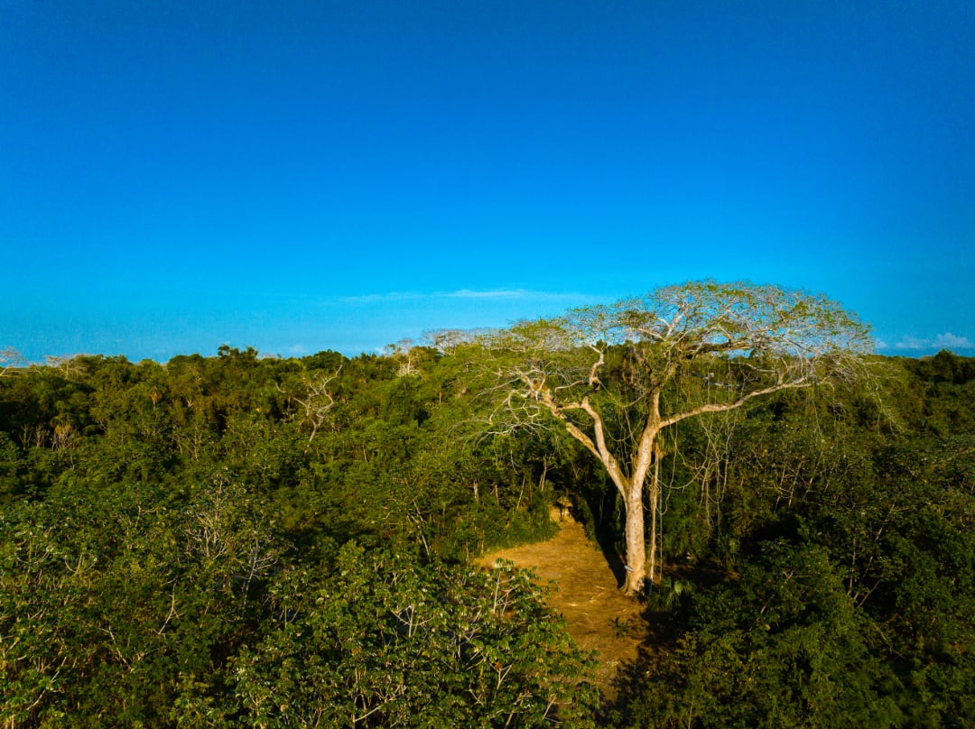 Rancho Del Cielo Maya