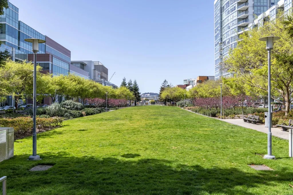 Madrone community green space featuring manicured lawn, walking paths, mature trees, and modern urban residential buildings creating a peaceful outdoor amenity area