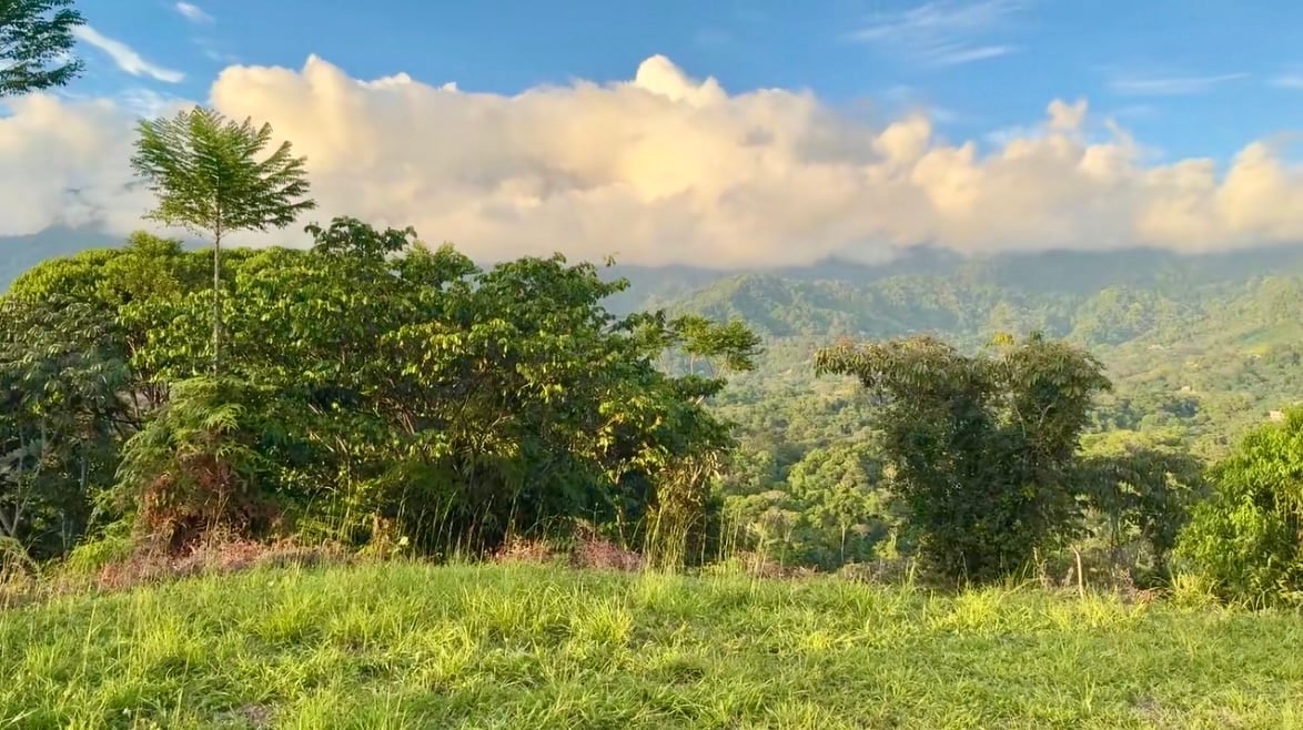 Majestic Expansive Mountain Backdrop