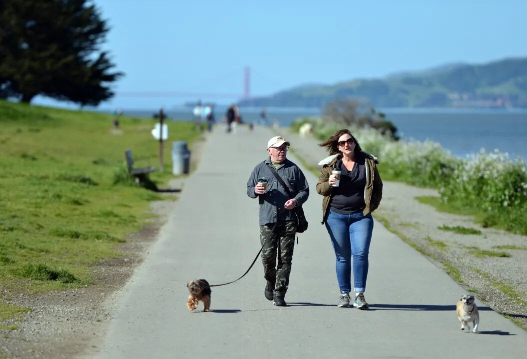 Dog running near the water at Point Isabel Regional Shoreline with scenic East Bay views.