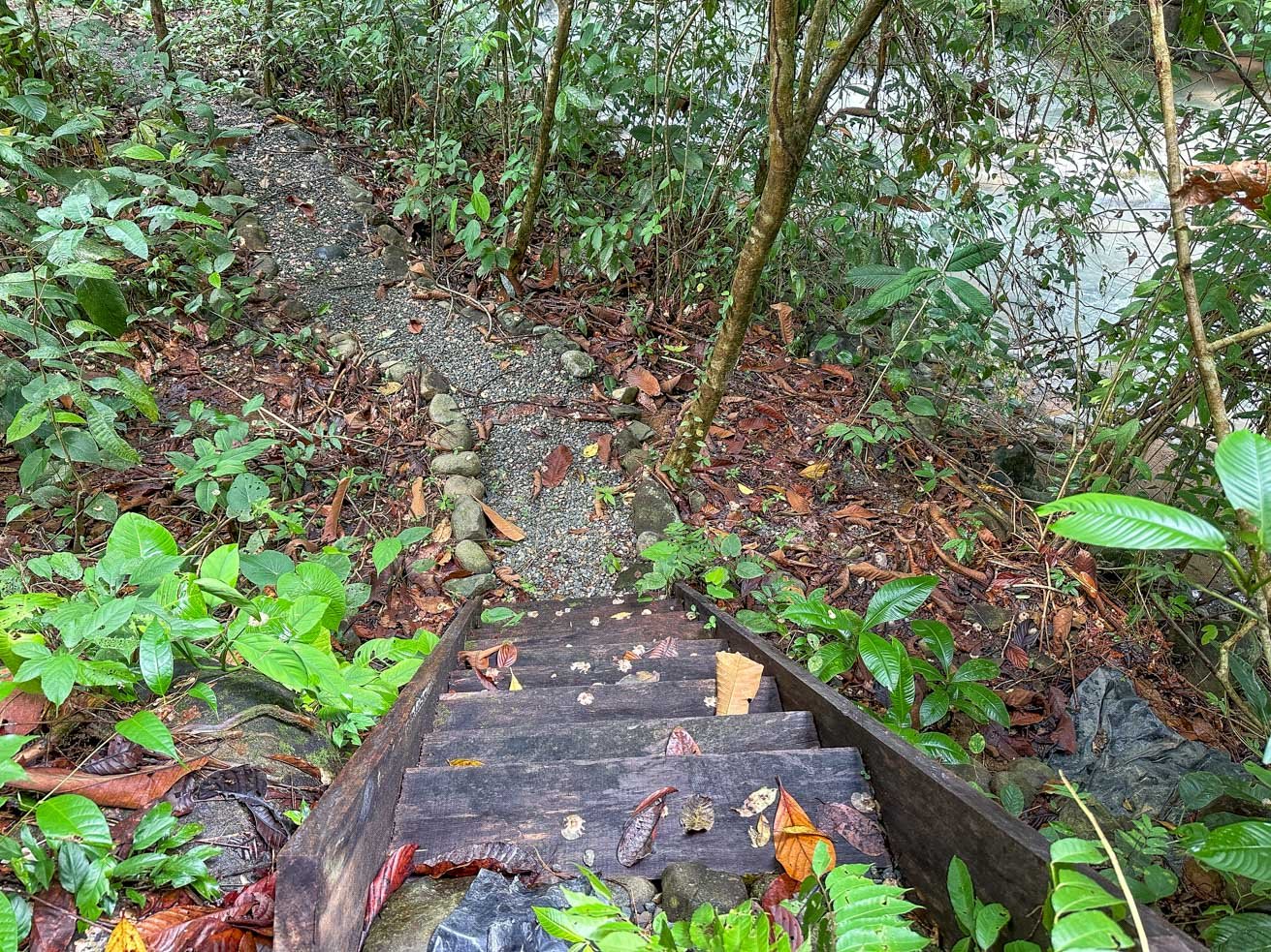 Rainforest Home with River, Jungle Trails & Pool in Ojochal