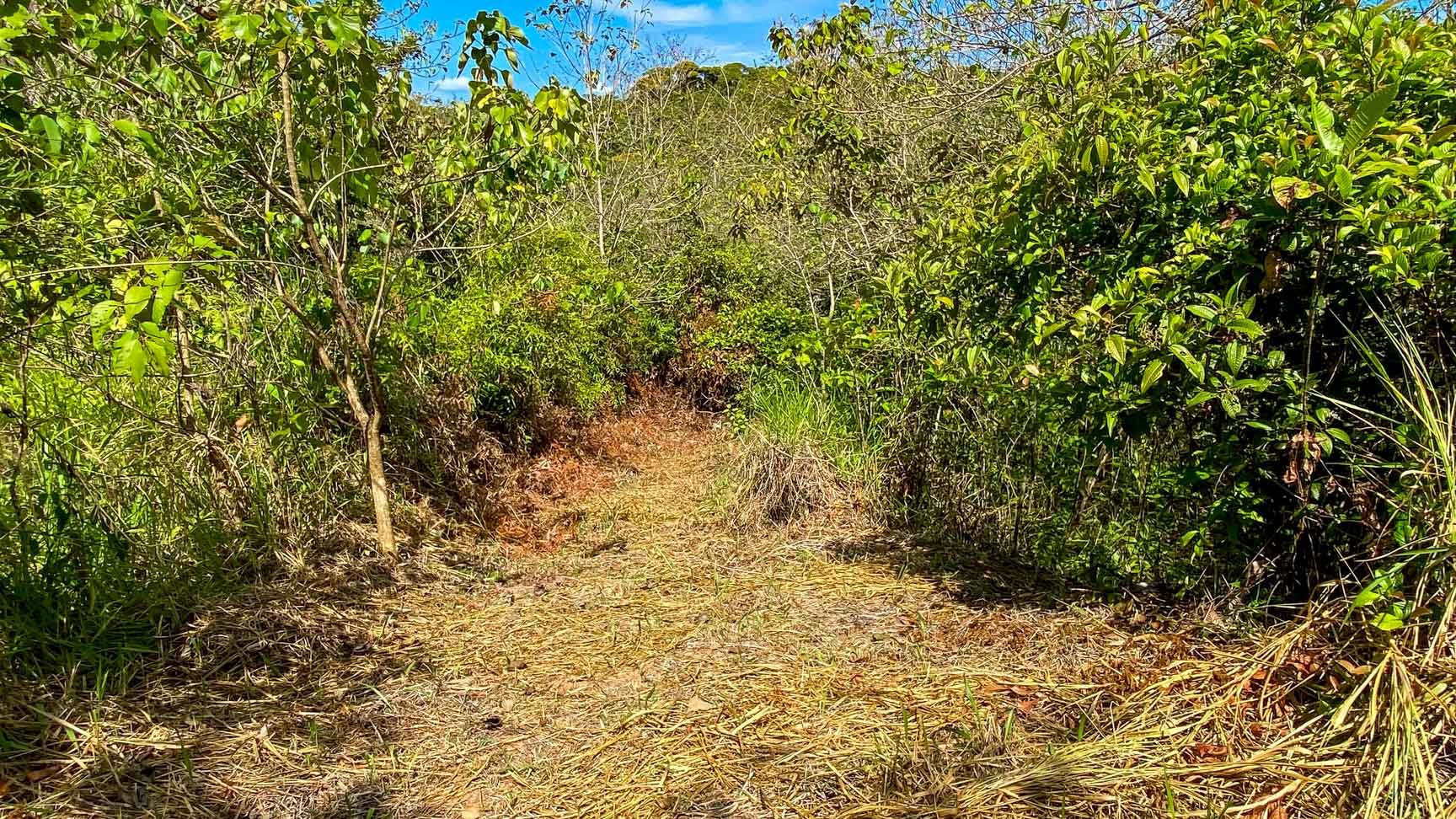 32-Acre Self-Sustainable Off-Grid Farm Near Ojochal with House, Solar Power & River