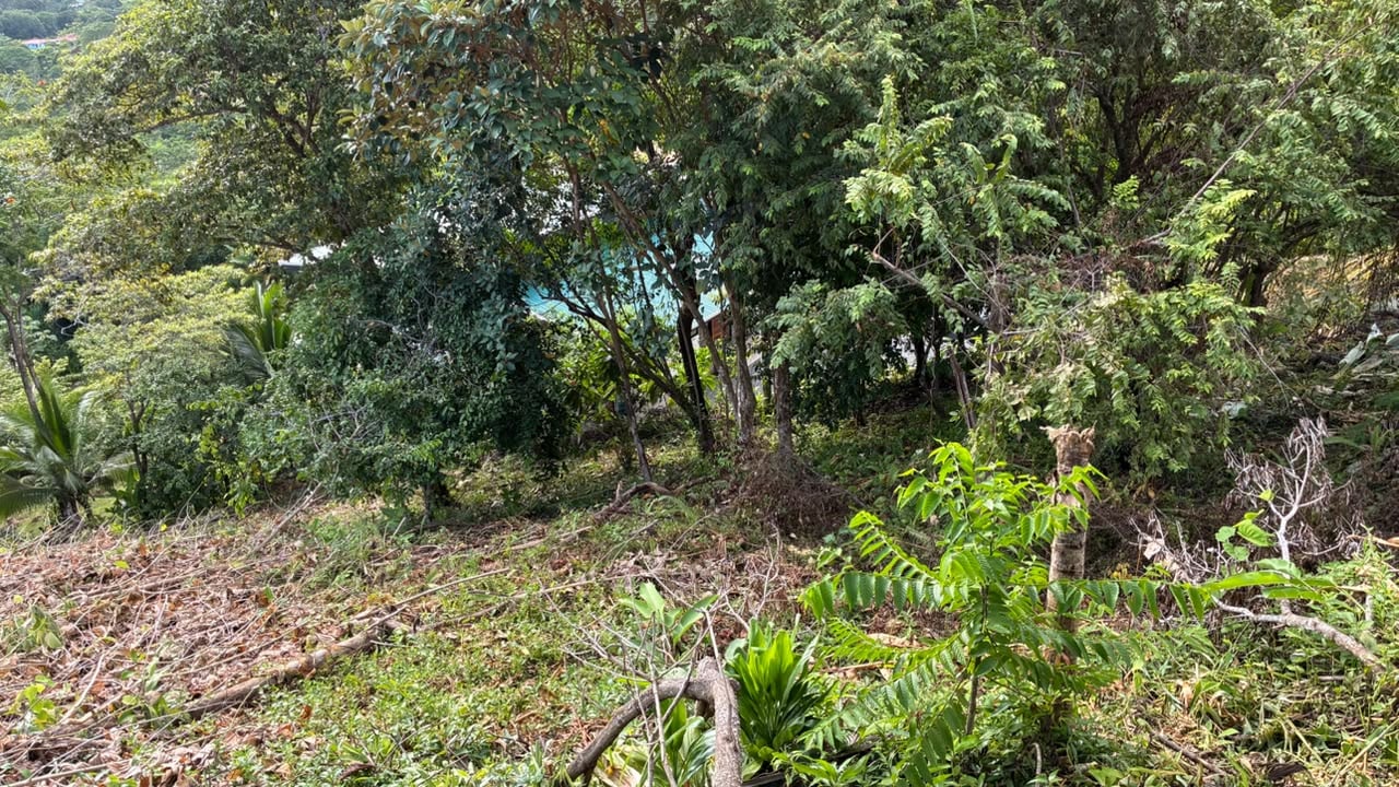 Spectacular Ocean View Lot in Ojochal Phase 9