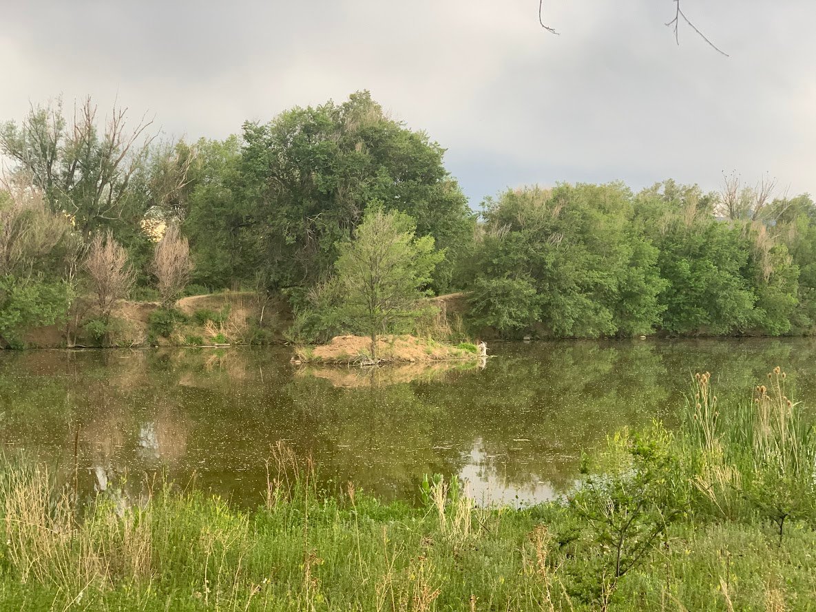 Fountain Creek Nature Center: A Must-Visit Outdoor Escape Near Colorado Springs