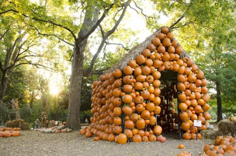 The Best Things to Do in Nashville This October 2026