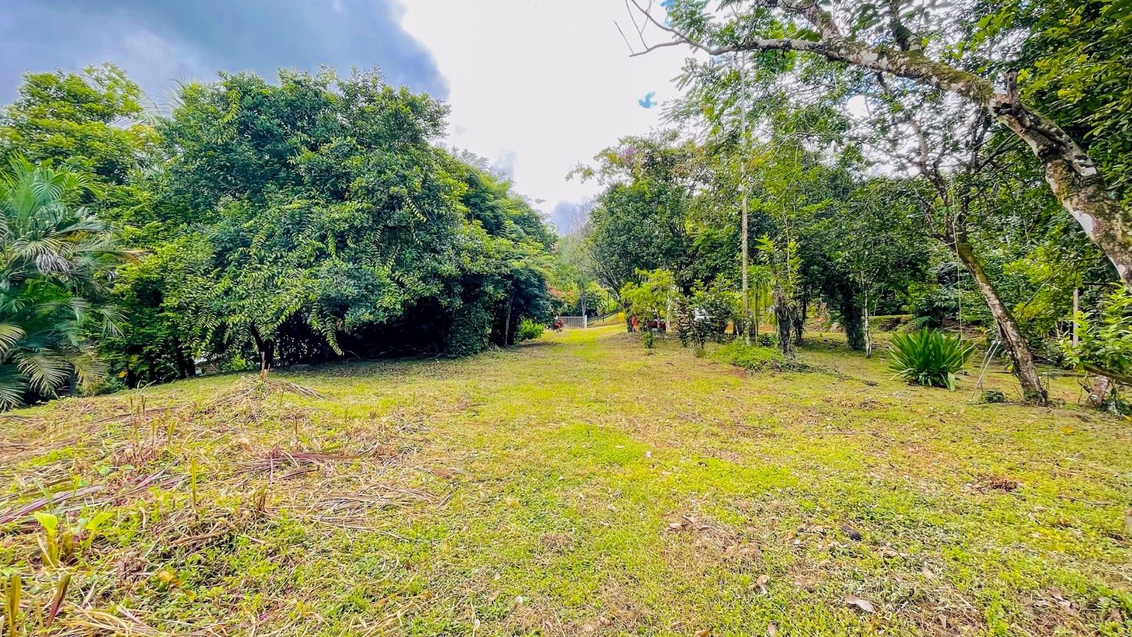COSTA RICA LAND FOR SALE | LARGE FLAT PRIVATE PROPERTY WITH MOUNTAIN VIEWS, RIVER & FRUIT TREES