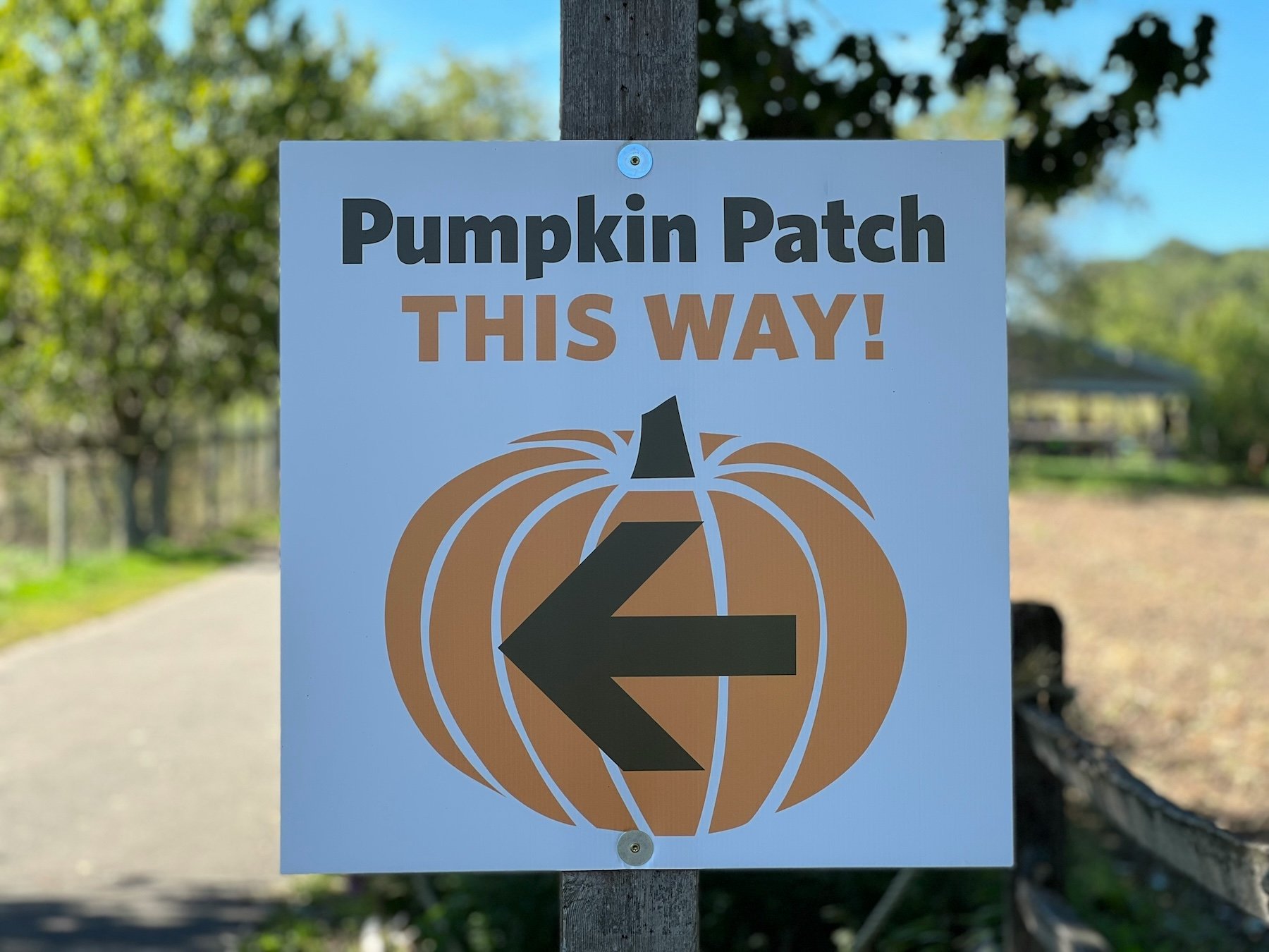 Pumpkin Patches Denver Area