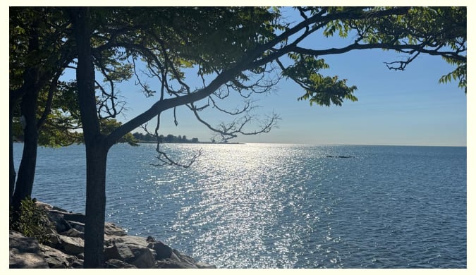 Barbara Sweeney Homes July 2026 Newsletter