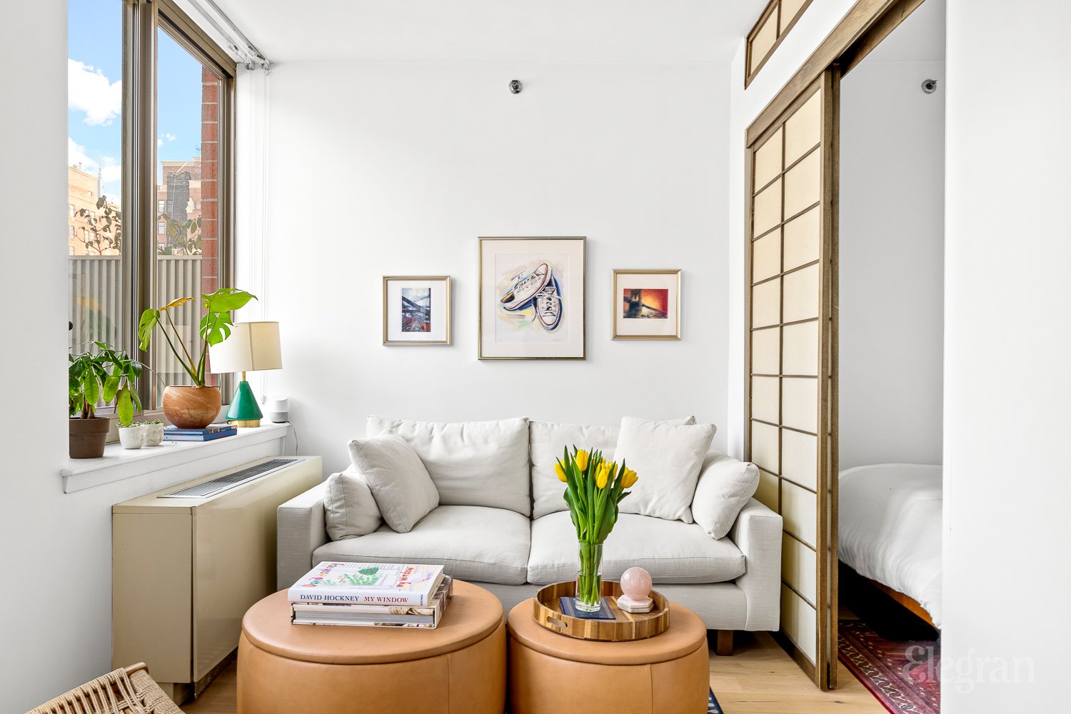 520 West 23rd Street, 11D