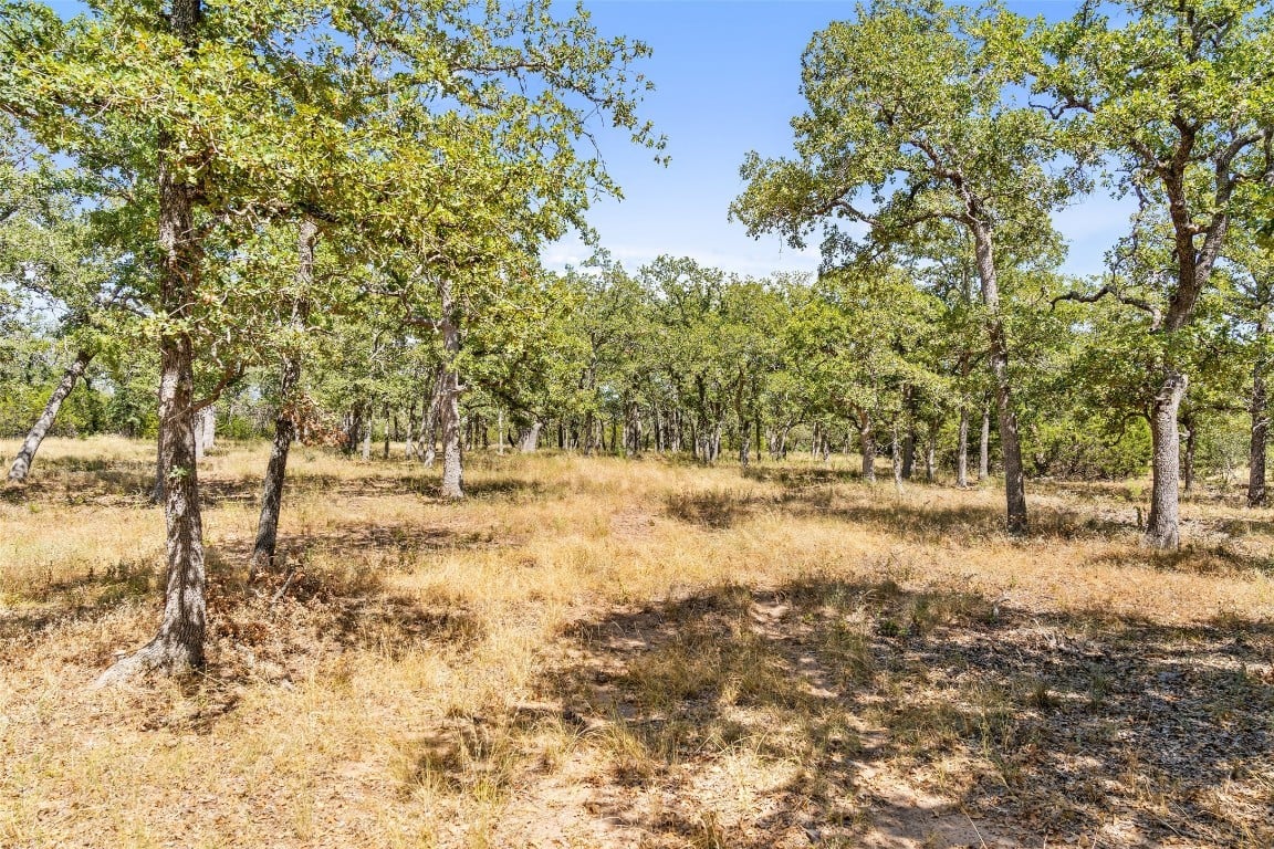 18.145 Acres Herber-schaefer Rd