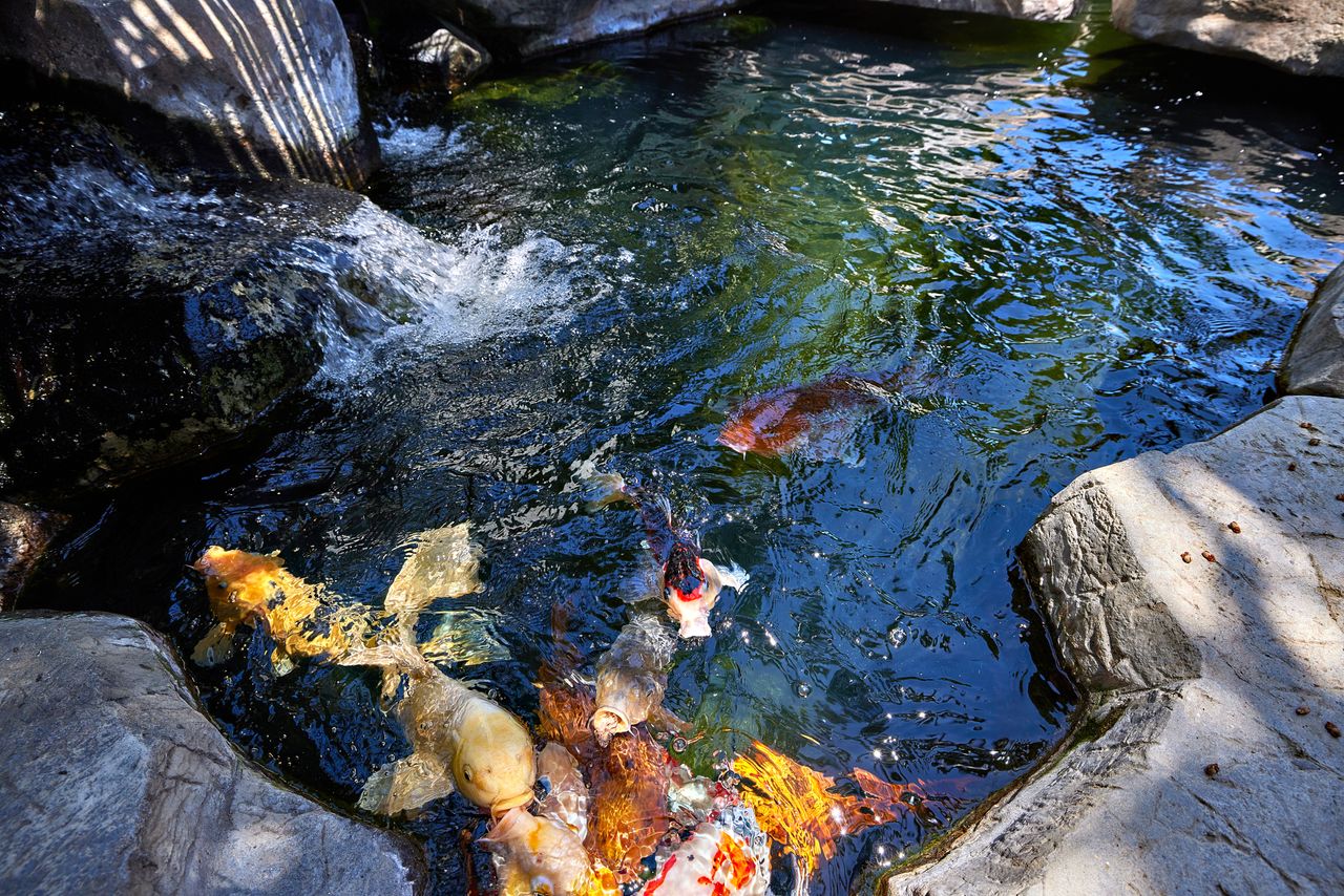 Encinitas Oceanfront Retreat