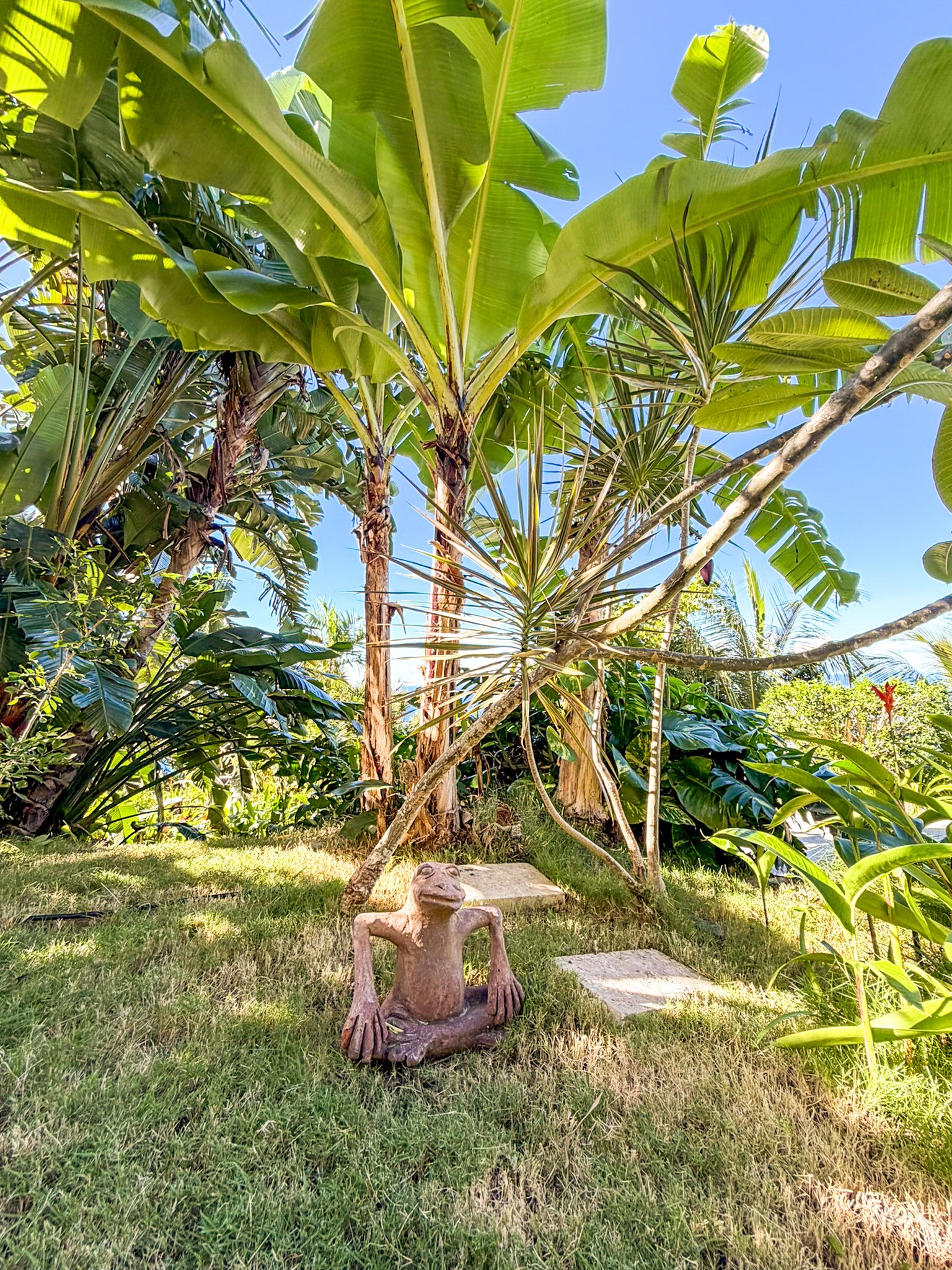 1105 Villa Botanica