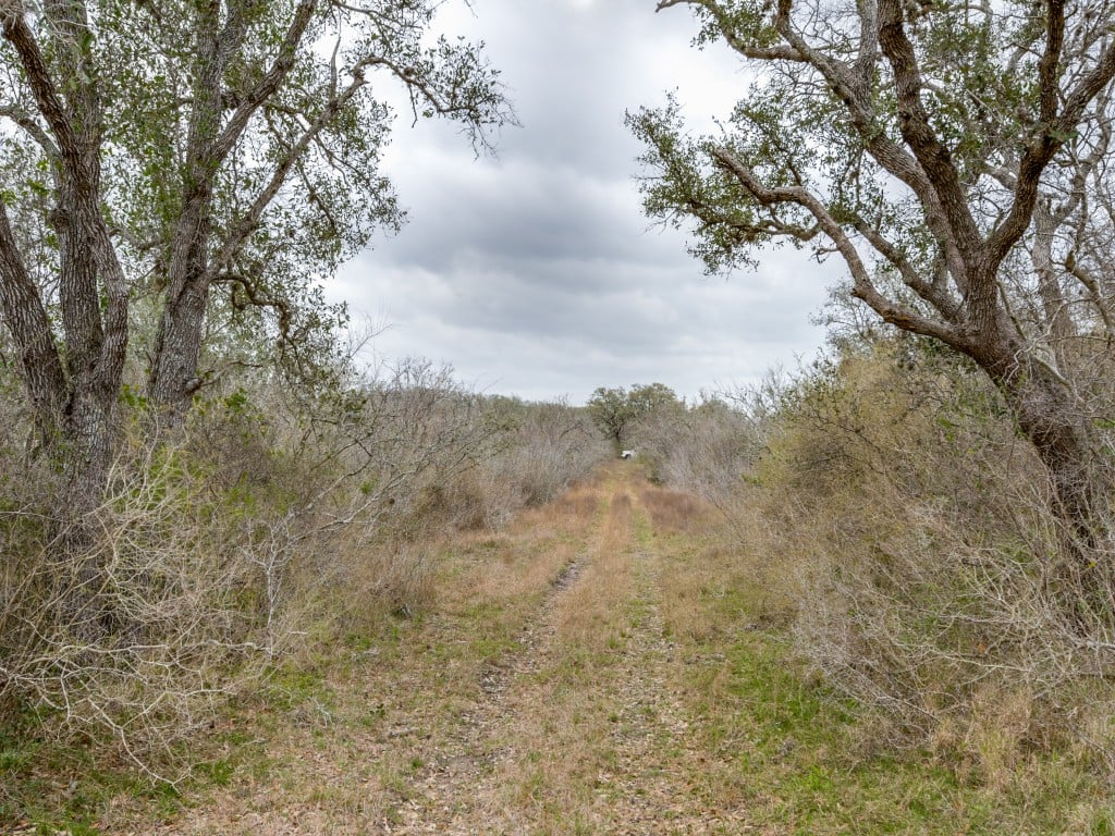 300 Acres in Goliad County 