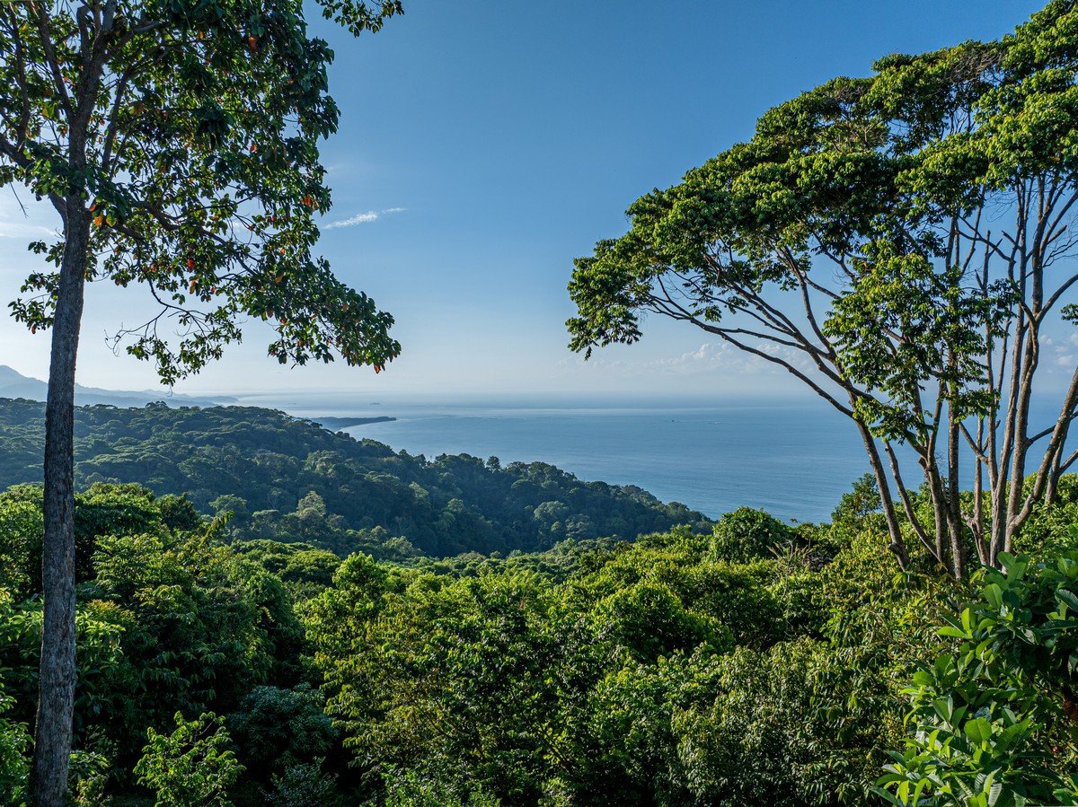 2 ACRES – 2 Bedroom Whales Tale Ocean View Home In Costa Verde Estates Gated Community!!!