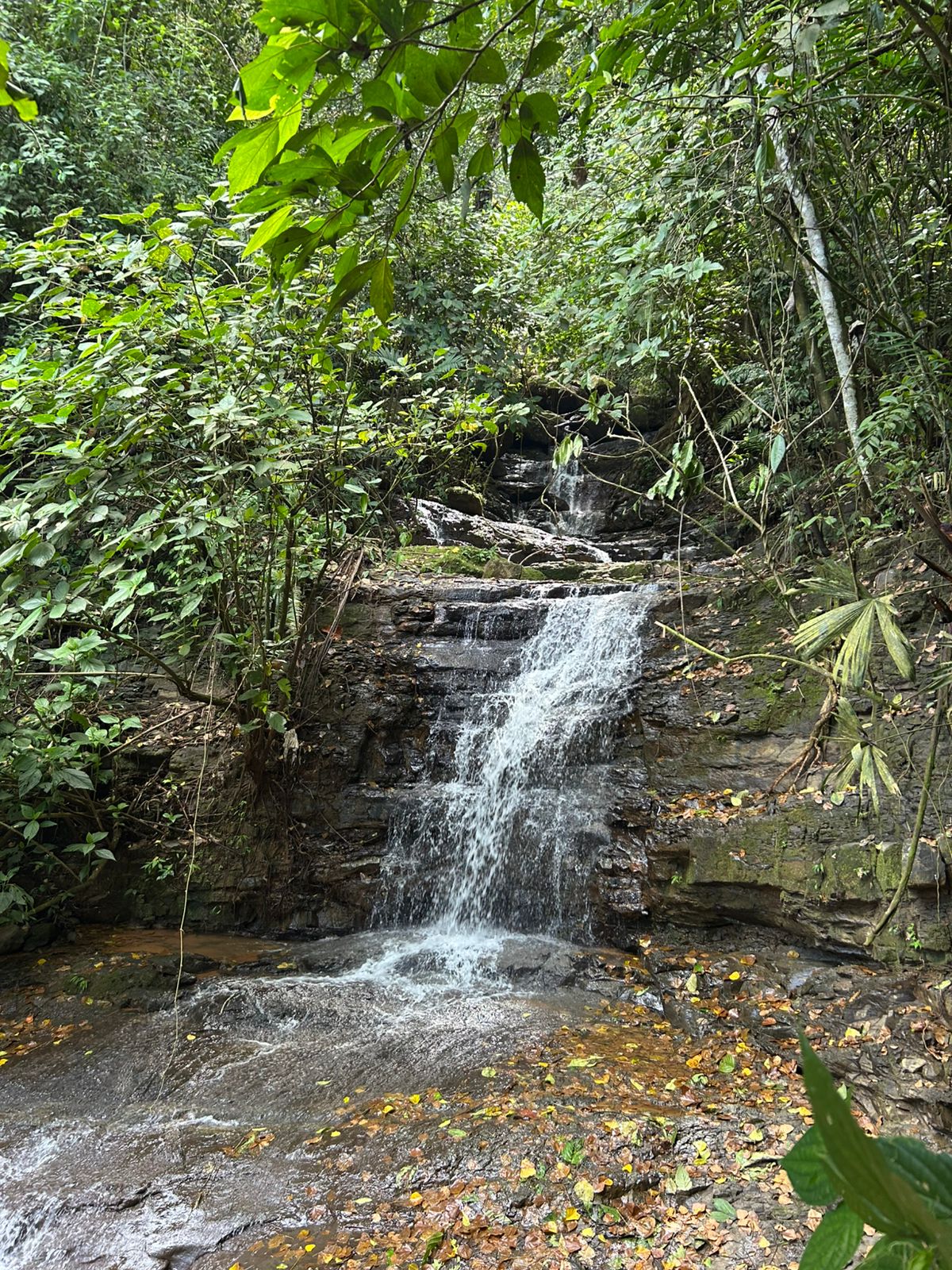 10-Acre Waterfall Farm with Amazing Valley and River View in San Isidro.
