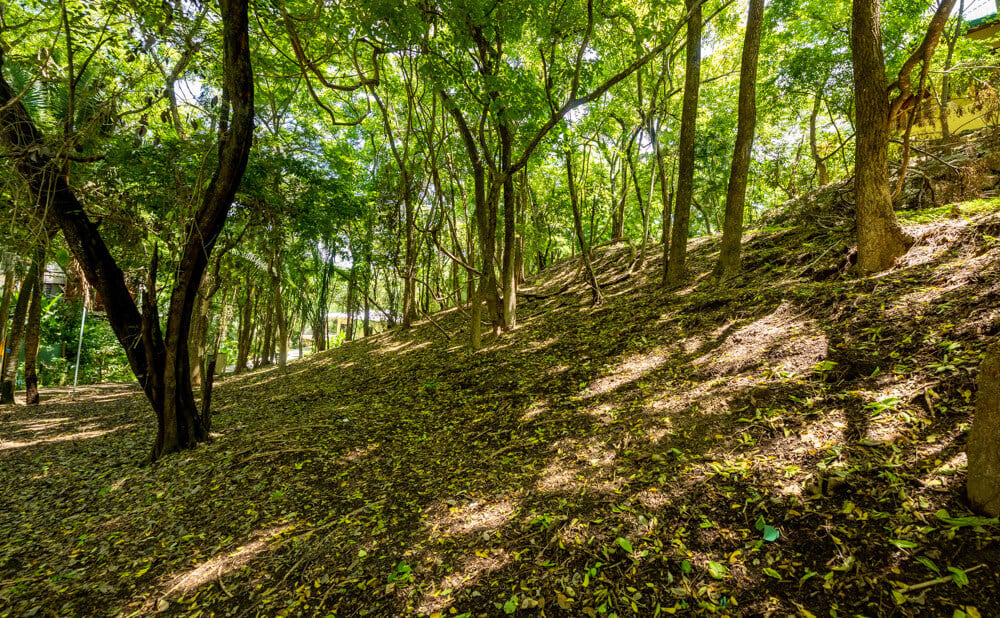 Secluded Surf Walk Building Lot, Nosara, Guanacaste