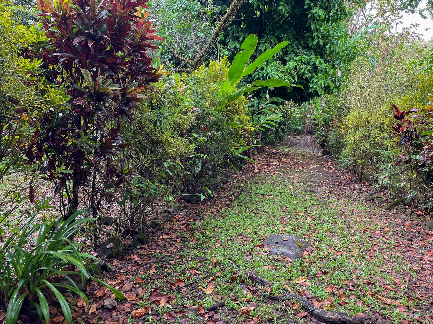 Cozy Colonial Home with Lush Gardens and Prime Commercial Prospects