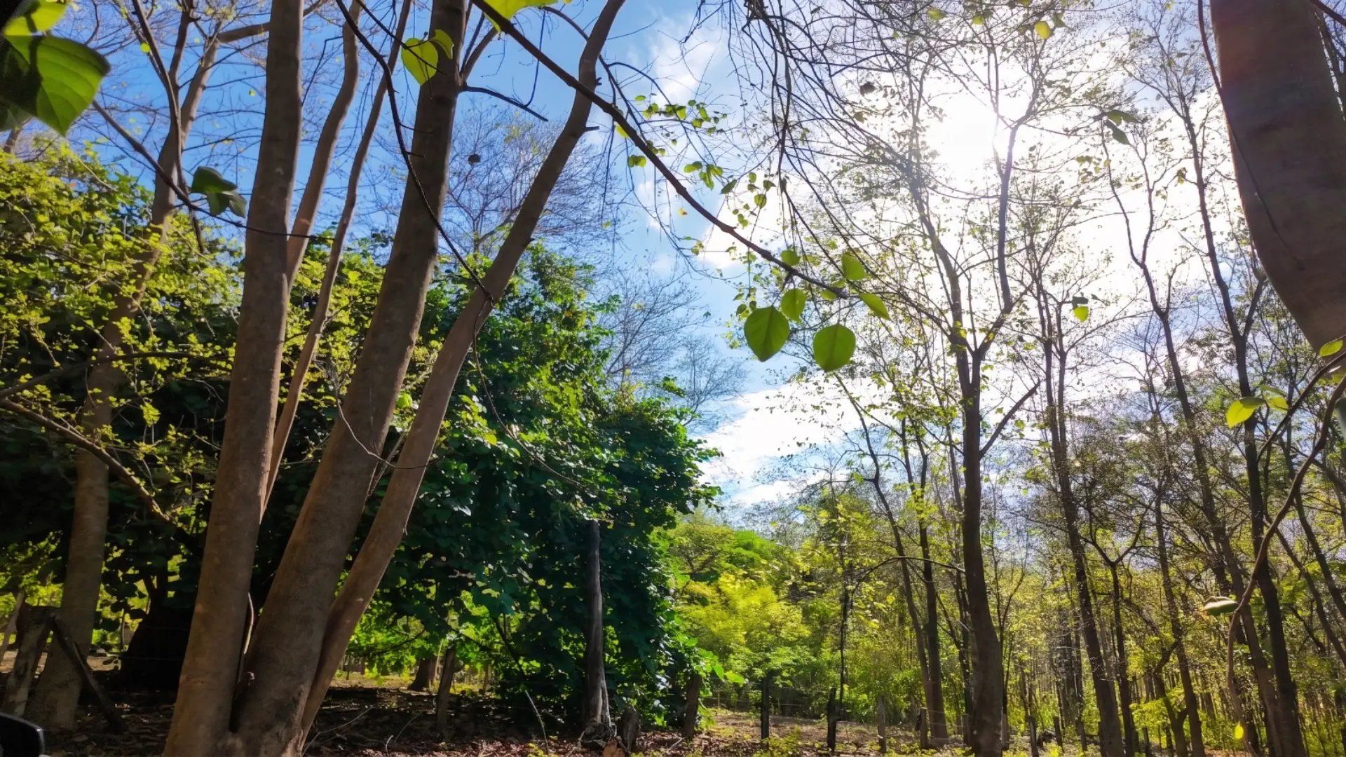 Las Melinas Sanctuary